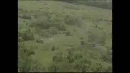 Спецназ в деиствие