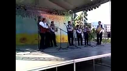 6 гайди - Дулово