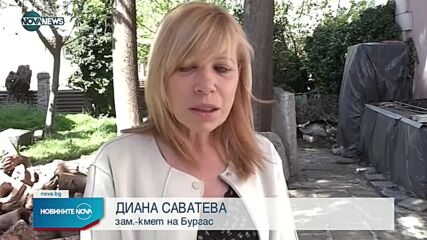 Без круизни чуждестранни кораби у нас