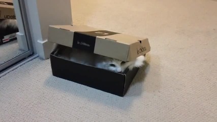 Zero Cool in a box