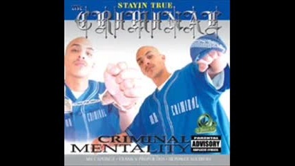 Mr. Criminal _criminal Life_