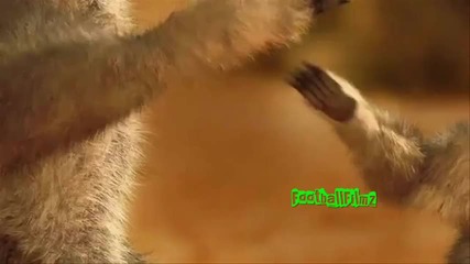 лемурчета показват на Меси какво може Роналдо