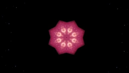 Bird Call- Miracle Man
