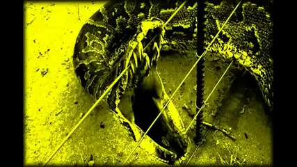 Greenbeam & Leon - Snake ( Gary Beck Remix ) 