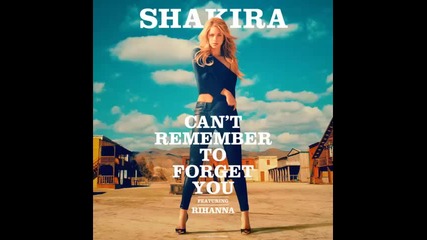 *2014* Shakira ft. Rihanna - Can't remember to forget you ( X Fada remix )