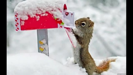 Andrea_bocelli_christmas_songs_w photoes