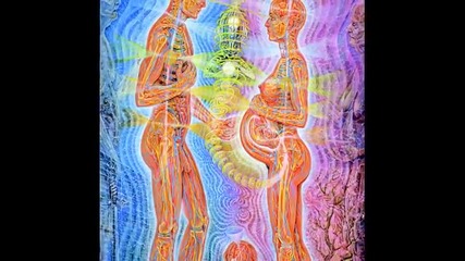 Alex Grey Gallery part1