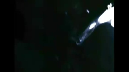 t - 900 vs predator 2010 