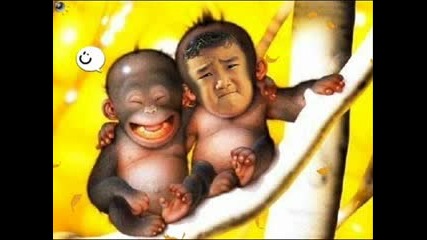 Много Смешни Маймунки