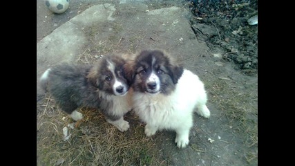 Rino & Tara