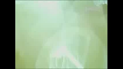 Sash Video Megamix!