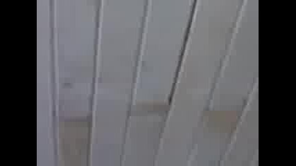 Видео013 