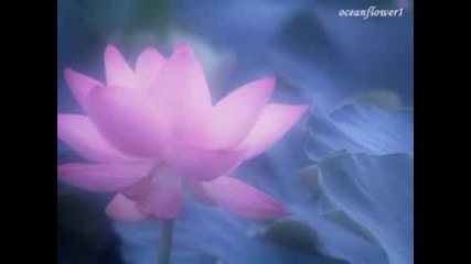 Yanni & Chloe - Change