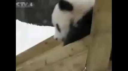 Панди си играят 
