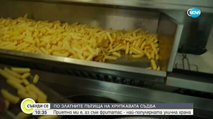 Говорещи пържени картофи: Историята на най-популярната улична храна в Белгия