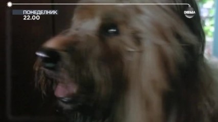 „Върховно куче” на 2 януари по DIEMA