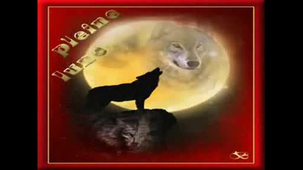 Song Of The Wolf