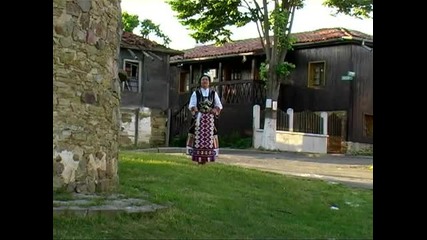 Златка Ставрева- Димо си книга додрагна