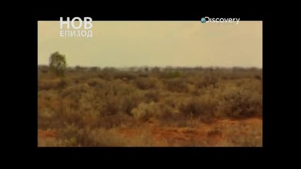 Беар Грийлс - Бягство От Ада (основни Принципи В Оцеляването)