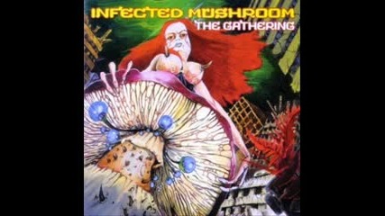 Infected Mushroom , Virtual Voyage