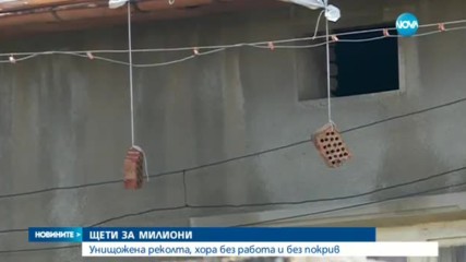 Унищожена реколта, хора без работа и без покрив след бурята в Левски