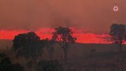 Две жертви на мощни пожари в Австралия, наредена е евакуация (ВИДЕО)