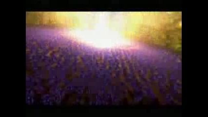 Sonic Amv - - Until The Day I Die 