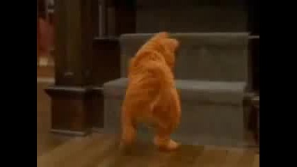 Soulja Boy - Funny Dance Vbox7 