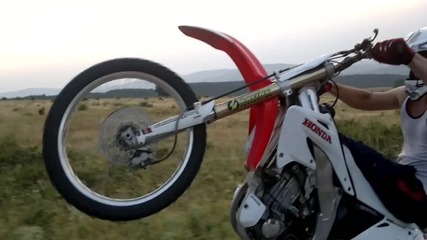 marino dp.