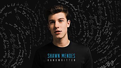 Shawn Mendes - A Little Too Much ( Audio )
