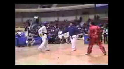 Taekwon-do Itf 2