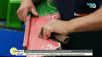 Молисейросите на Авейро: Една жива традиция