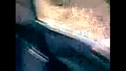 Smolqn Bostina Trip