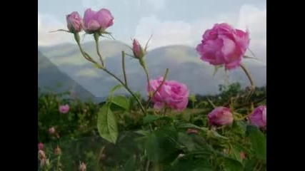 На България