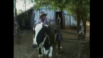 Време e за смях