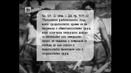 Пеперудите осъдени по бързата процедура