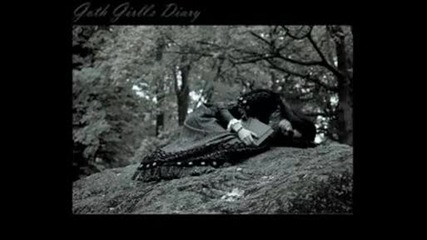 Black Cat Video 2