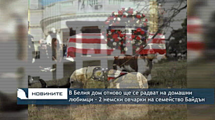 В Белия дом отново ще се радват на домашни любимци - двете немски овчарки на семейство Байдън