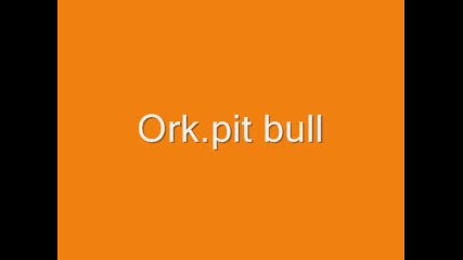 Ork.pit bull - baven ku4ek 2010 