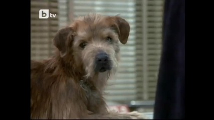 Доктор Дулитъл С Еди Мърфи 1998 Бг Аудио Целият Филм Tv Rip Бтв