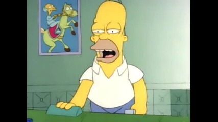 Simpsons 01x03 - Homers Odyssey [rl-dvd]