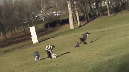 Орел почти отмъкна бебе от парка!!!