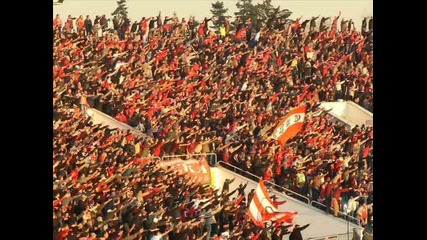 Cska Hooligans 