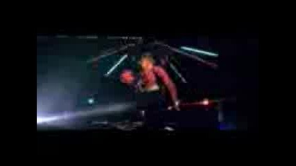 °florida Ft T - Pain - Low