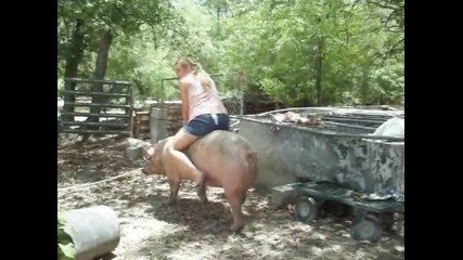 My friends drunk mom riding a pig