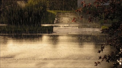 Trance - Ferry Corsten - Midsummer Rain