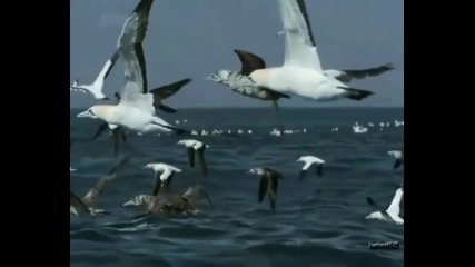 Strings Of Paris Orchestra - Yesterday