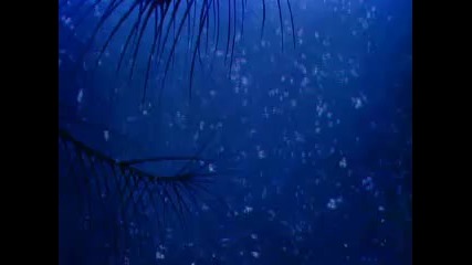Tchaikovsky - Waltz Of The Flowers 