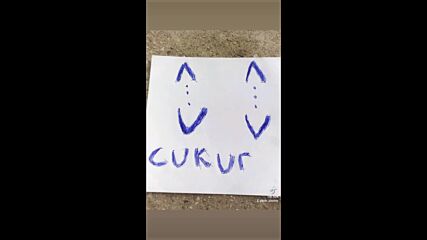 Vid_21630319_022800_380.mp4