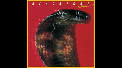 Blackfoot - I Got A Line On You